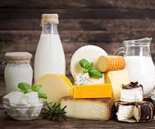 Milk Processing Plant