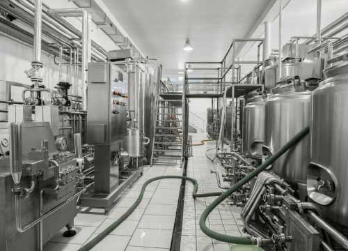 Food Processing Equipment